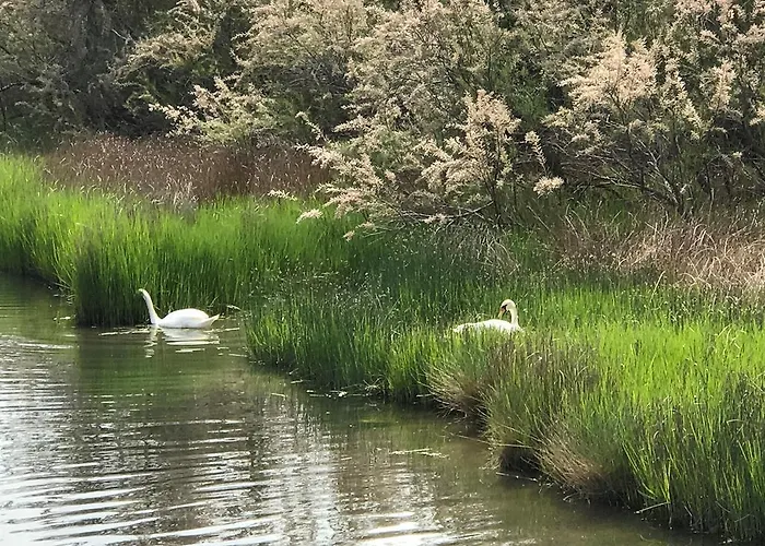 Vrulje * Gornji Karin