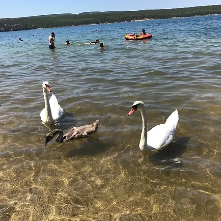 Διαμέρισμα Vrulje