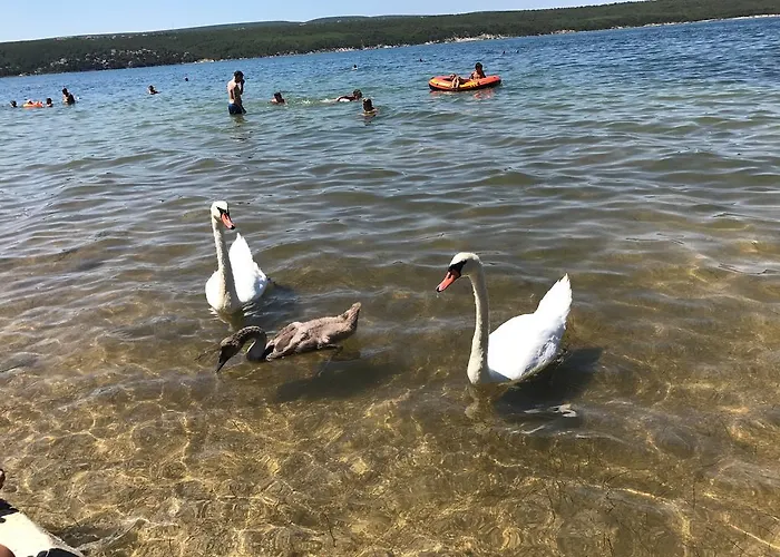 Апартаменты Vrulje